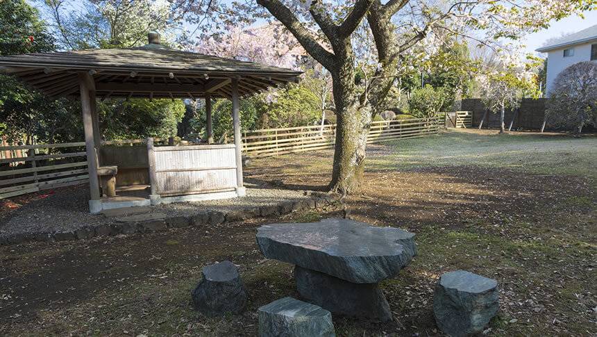静岡県・伊豆高原の愛犬と泊まれる宿「CARO FORESTA 伊豆高原 Cuore（クオーレ）」｜木陰で休憩できる東屋（あずまや）と石造りのテーブルセットがある、緑豊かで広々とした屋外ドッグラン