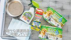 1633-Galaxy-Glamping-Dog-Premium-slider10