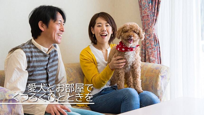 シーガイア・フォレスト・コテージの室内で犬と一緒にくつろぐ夫婦。ペット同伴旅行に最適な宿泊施設