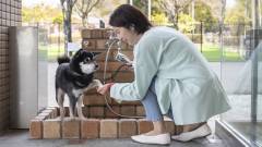 浜名湖で犬と泊まれる宿の足洗い場|わんわんパラダイスホテルのドッグケア設備