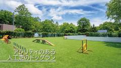 アジリティが楽しめる人工芝ドッグラン|わんわんパラダイス 八ヶ岳