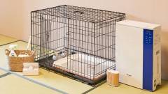 わんちゃんに優しい備品完備の安心ステイ｜石川県わんわんリゾート粟津