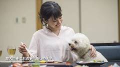 1332 -slider05-mie-wanwanparadise-matsusaka-dining-with-your-dog