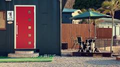 愛犬と立ち寄れる淡路島のカフェテラス