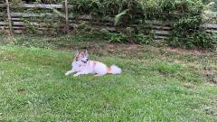 1454-slider09