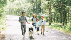愛犬と楽しむ蓼科高原の森林散歩