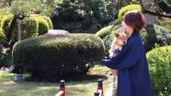 1491-slider03-tochigi-kinugawa-kizuna-walking-with-my-dog