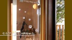 0527-slider08-shizuoka-nagominoinuyado-mutsumian-Self-Grooming-Room