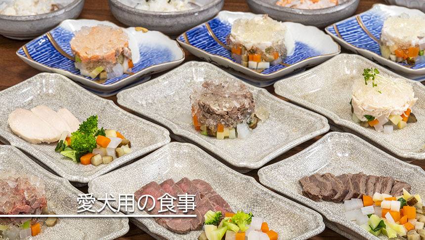 大分県・湯布院の犬と泊まれる宿「レジーナリゾート由布院」｜愛犬用の豪華な食事メニューの例。馬肉や鶏肉、温野菜など、素材を活かした彩り豊かな料理が小皿に盛り付けられている。