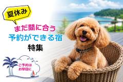 pet-yado-feature-summer-availability