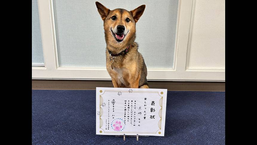 静岡県・城ケ崎にある愛犬と泊まれる宿「わんわんパラダイス プレミア 伊豆高原」｜肉球スタンプを作れるイベントを開催中！