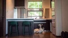 1640-slider05-hokkaido-snow-dog-village-dog-in-kitchen