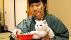 0123-slider08-kinugawakokusai-hotel