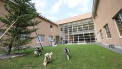 ゆとりろ蓼科ホテルwith DOGS|愛犬がのびのび遊べる中庭ドッグラン