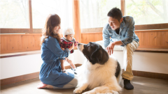 愛犬と一緒に客室でくつろげる蓼科の宿