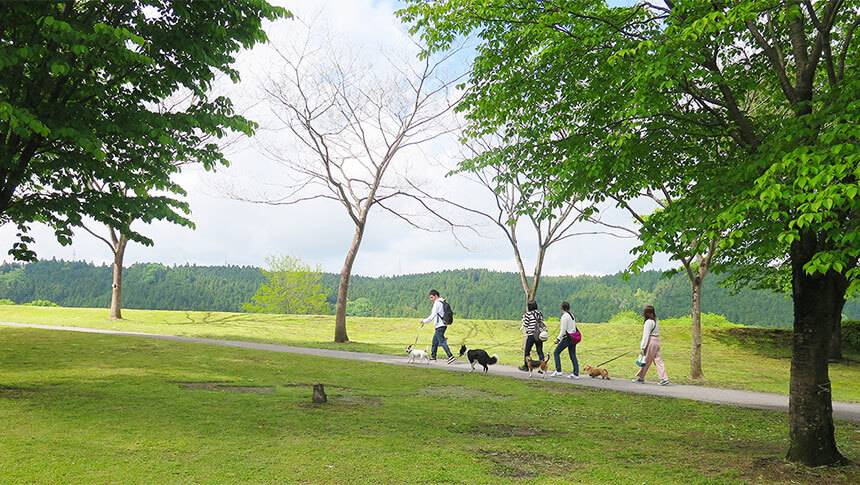 きぬ川国際ホテル周辺の自然の中で愛犬と散歩を楽しむペット旅行