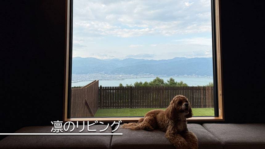 長野県・諏訪の愛犬と泊まれる宿「INU邸 SKY TERRACE SUWA」諏訪湖を一望できる大きなピクチャーウィンドウの前で佇む犬（INU邸 SKY TERRACE SUWA「凛」）