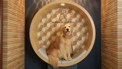 1524-slider05_inumoshibakouen_photospot