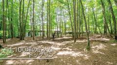 八ヶ岳の森に広がる約1100坪のドッグラン