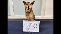 1427-salider13-wanwan-paradise-premier-izu-kogen-paw-print-stamp