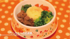 日光のペットと泊まれる宿 アニマーレ|ワンちゃんのお食事