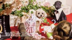 1354-slider06
