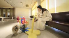 愛犬と楽しく過ごせる館内ドッグラン｜西伊豆の温泉宿