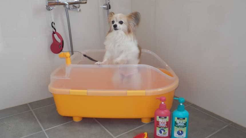 あにまる御殿のドッグバス。小型犬が安心して入れる専用バスタブとシャンプーセット