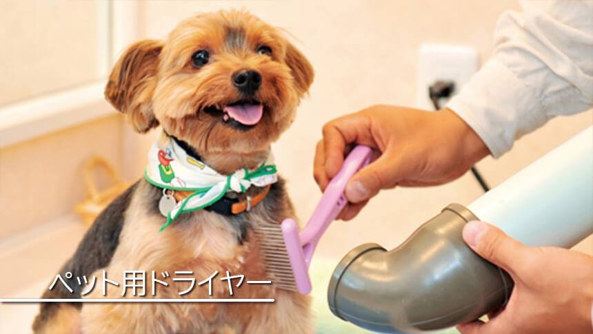 犬と泊まれる群馬県の宿｜草津・尻焼・花敷｜ペットドライヤーも完備！温泉に入っても安心です。｜草津温泉　音雅（おんが）