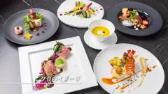 彩り豊かなディナーコース|コレドール湯河原Dog&Resortの夕食
