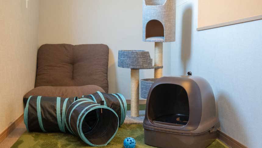 あにまる御殿の猫用スペース。キャットタワー・トンネル・トイレを備えた猫用ルーム