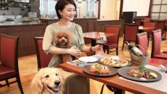 1524-slider09_inumoshibakouen_restaurant