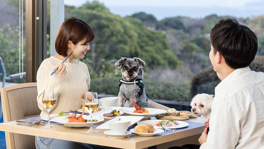 静岡県・城ケ崎にある愛犬と泊まれる宿「わんわんパラダイス プレミア 伊豆高原」
