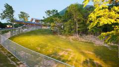 1394-slider07-tottori-guhindaisen-dogrun