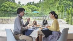 1391-slider05-yamanashi-wanwanparadaise-premire-yamanakako-dining-with-your-dog