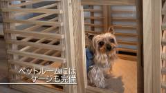 1527-slider12