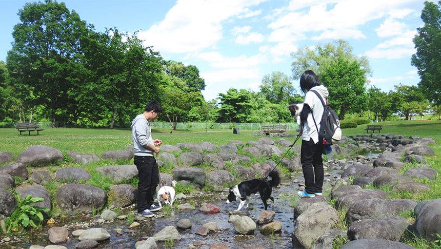 栃木県日光市のきぬ川国際ホテル周辺で愛犬と散歩を楽しむ公園