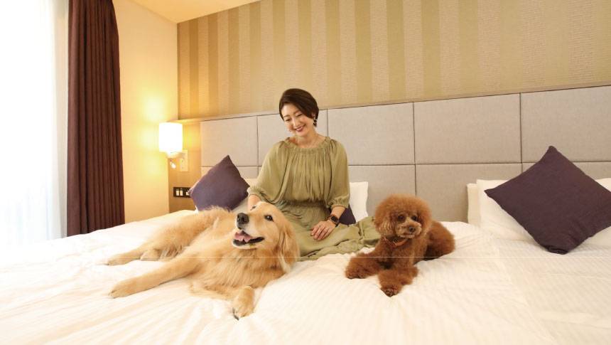 東京都港区にある愛犬と泊まれるホテル「inumo芝公園」｜広々としたベッドの上で、ゴールデンレトリバーやトイプードルとリラックスする女性飼い主
