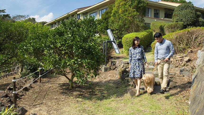 緑豊かな敷地内を愛犬と散歩。木漏れ日の小道を歩けば、心地よい風と自然の香りに包まれたリフレッシュの時間が流れます。｜犬と泊まれる静岡県のホテル｜Wan's Resort　城ヶ崎海岸