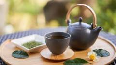 静かな朝に楽しむ緑茶と自然の香り｜わんわんリゾート粟津で心落ち着く時間を