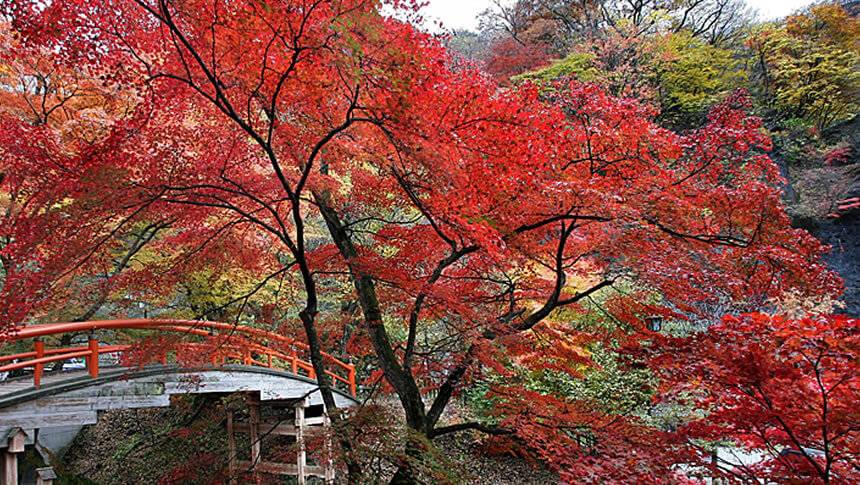 群馬県伊香保温泉 河鹿橋の美しい紅葉スポット