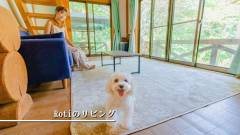 Rotiで愛犬とくつろぐログハウス滞在｜ペットと泊まれる ゆがふ岐阜