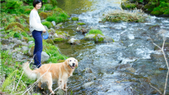 愛犬と楽しむ飛騨高山の清流散歩