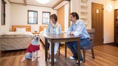 愛犬と泊まれる快適な客室|わんわんパラダイス 八ヶ岳