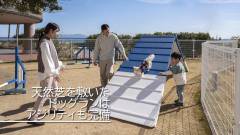 1527-slider10