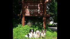 0202-slider05-yamanshi-Private-House-Byron-signboard