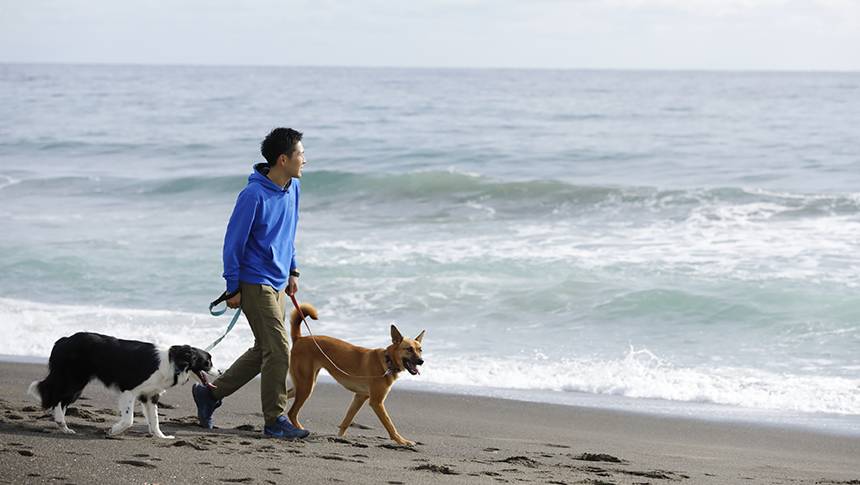 レジーナリゾート鴨川前の海岸を愛犬と散歩する宿泊者