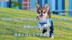 愛犬とはんなり京都旅♪｜ホテルイルヴェルデ京都のペット専用ルームで特別な滞在を