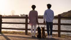 浜名湖で犬と泊まれる宿の湖畔散歩コース|わんわんパラダイスホテルの愛犬旅