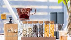 1633-Galaxy-Glamping-Dog-Premium-slider06